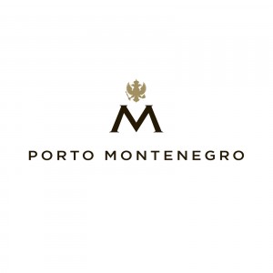 logo pm2